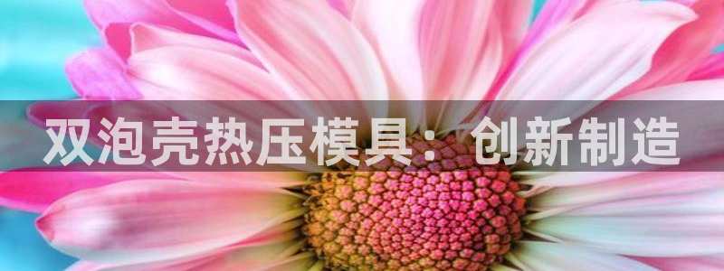 易倍达科技有限公司代运营：双泡壳热压模具：创新制造