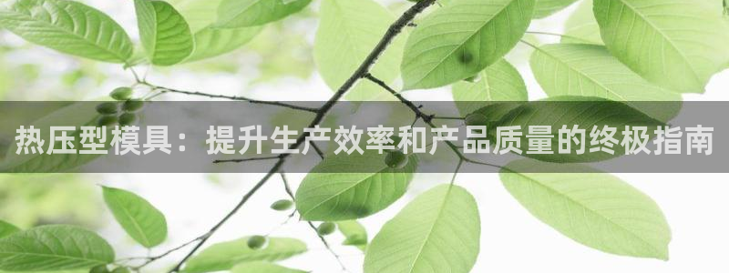 EMC易倍：热压型模具：提升生产效率和产品质量的终极指南