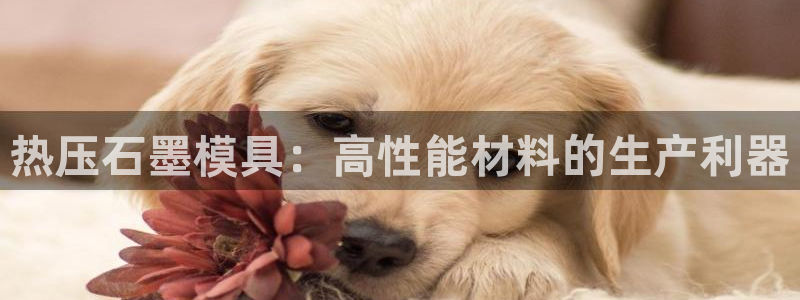 易倍纤能减肥吗：热压石墨模具：高性能材料的生产利器