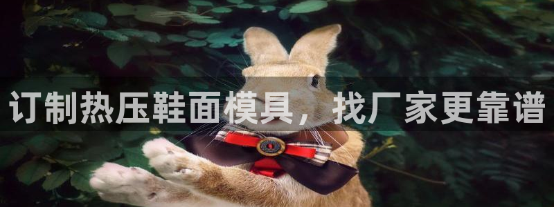 EMC易倍