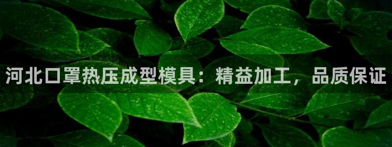 emc易倍电竞