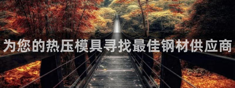 易倍电竞