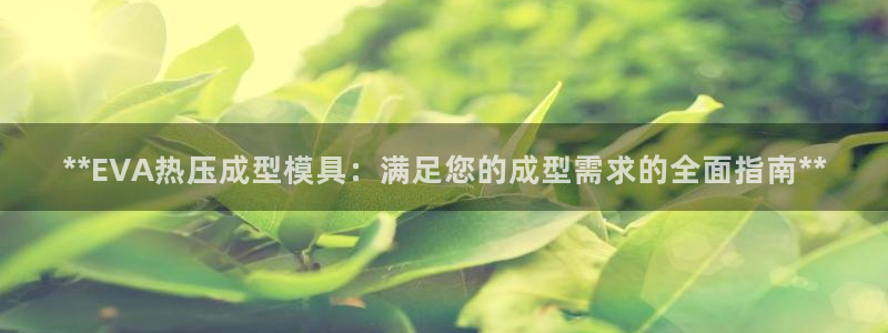 易倍单词官方网站下载：**EVA热压成型模具：满足您的成
