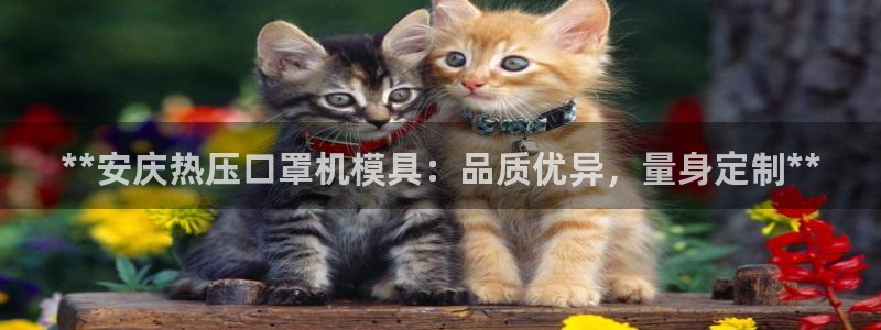 易倍单词官方网站下载：**安庆热压口罩机模具：品质优异，