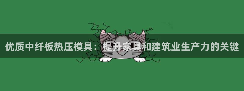 易倍纤瘦身三部曲的价格：优质中纤板热压模具：提升家具和建