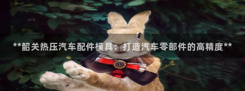易倍网络技术有限公司是干嘛的：**韶关热压汽车配件模具：