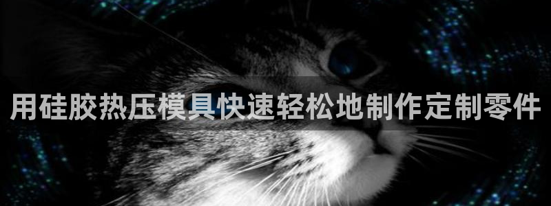 易倍思机电制造(上海)有限公司：用硅胶热压模具快速轻松地