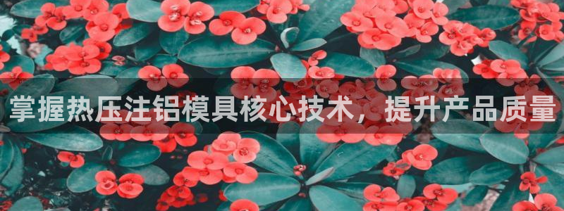易倍单词app下载