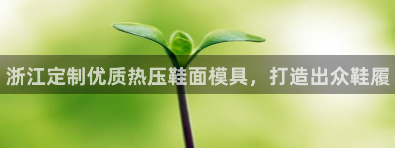 emc易倍怎么样：浙江定制优质热压鞋面模具，打造出众鞋履