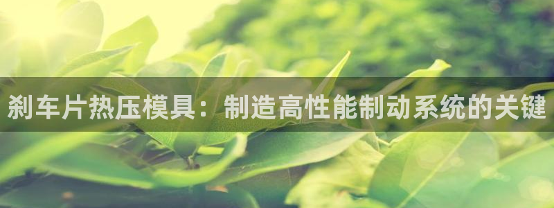 易倍网络技术有限公司
