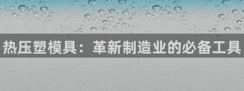 易倍纤酵素效果好吗：热压塑模具：革新制造业的必备工具