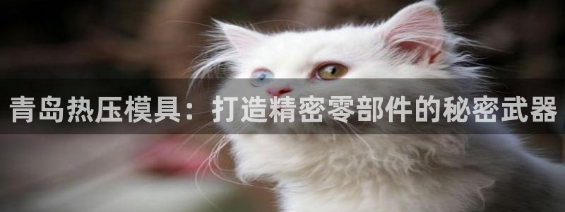 emc易倍的服务优势：青岛热压模具：打造精密零部件的秘密