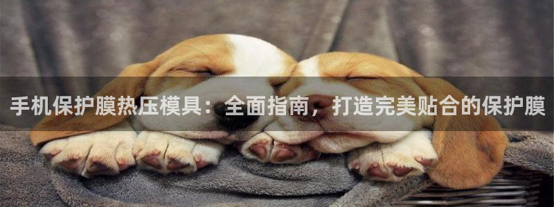 emc易倍怎么样：手机保护膜热压模具：全面指南，打造完美