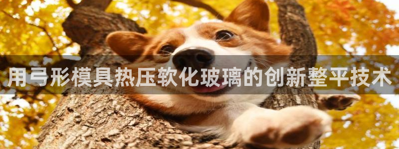 emc易倍