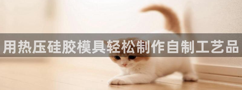 易倍申医保报销：用热压硅胶模具轻松制作自制工艺品