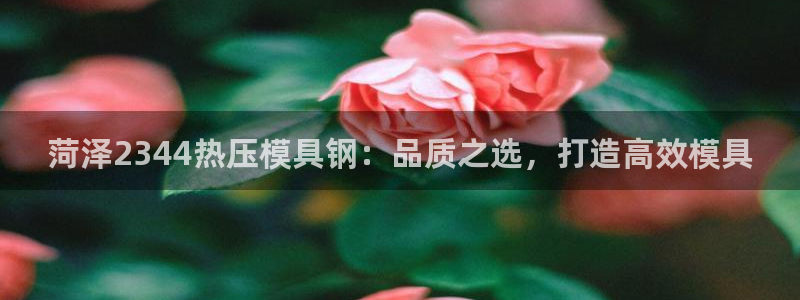 EMC倍频系数：菏泽2344热压模具钢：品质之选，打造高
