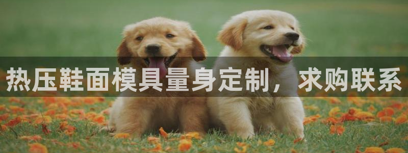 Emc易赔体育