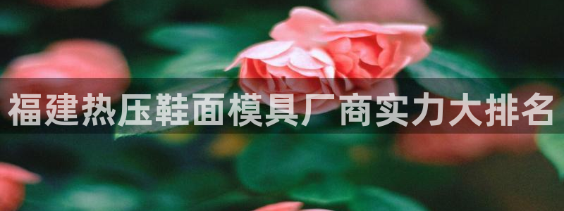 易倍纤代餐粉能减肥吗