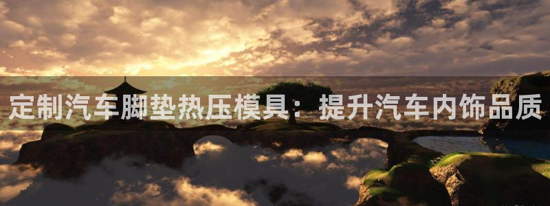 四川易倍易企业管理有限公司：定制汽车脚垫热压模具：提升汽