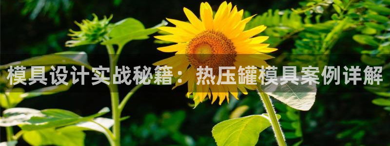 易倍单词如何下载