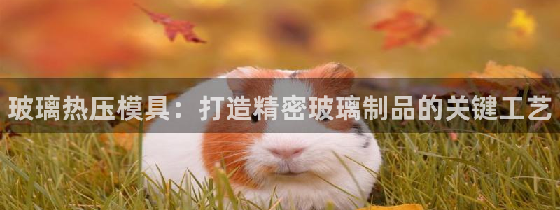 易倍单词如何下载：玻璃热压模具：打造精密玻璃制品的关键工