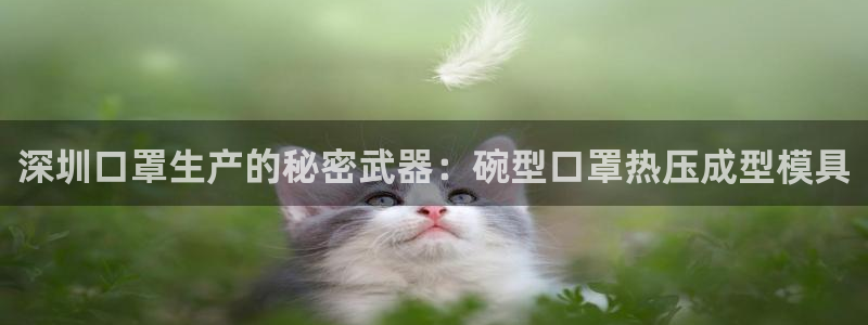 易倍单词官网下载