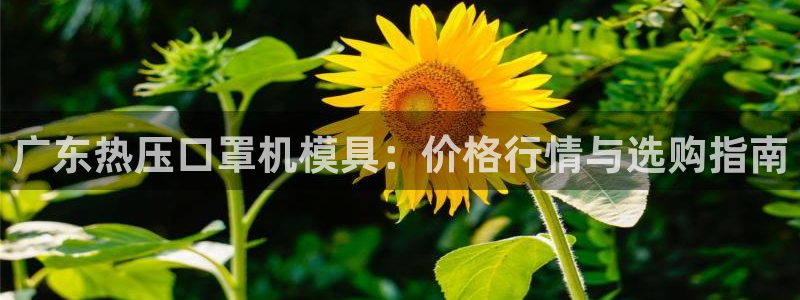 emc软件下载