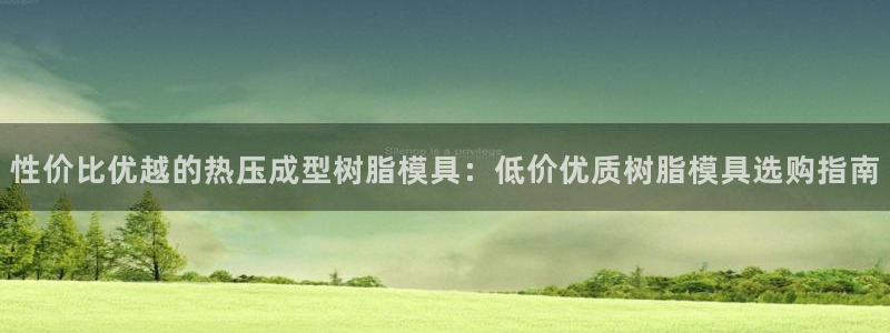 易倍纤使用方法：性价比优越的热压成型树脂模具：低价优质树