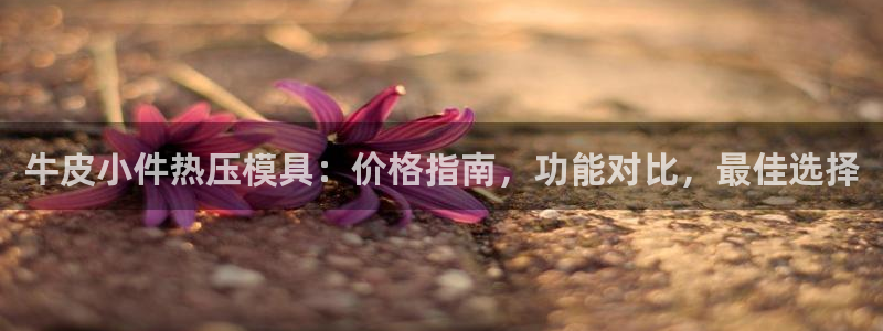 emc易倍首存500送球衣：牛皮小件热压模具：价格指南，