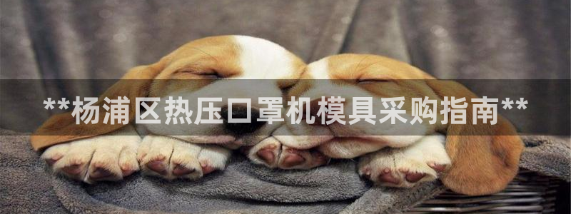 易倍申怎么样