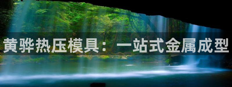 杭州易倍达科技有限公司怎么样