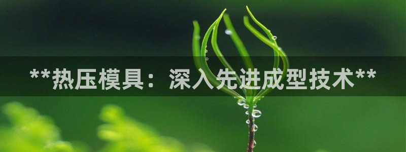 emc32软件安装：**热压模具：深入先进成型技术**