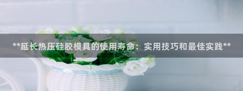 易倍纤价格：**延长热压硅胶模具的使用寿命：实用技巧和最