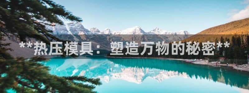 易倍申竞品
