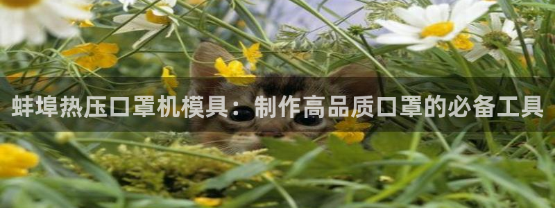 北京易倍思教育科技有限公司