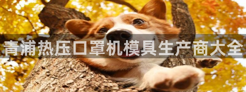 emc易倍官网登录入口