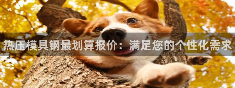 emc低频不过