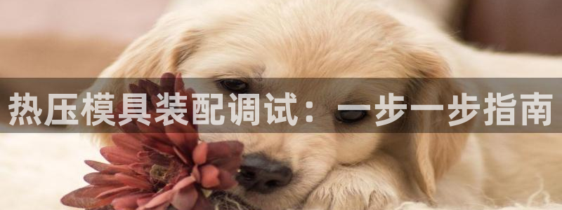 易倍达科技有限公司招聘