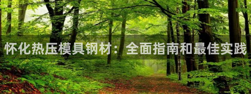 易倍申片的功效与作用：怀化热压模具钢材：全面指南和最佳实