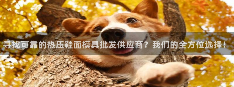 易倍申和易倍清的区别：寻找可靠的热压鞋面模具批发供应商？