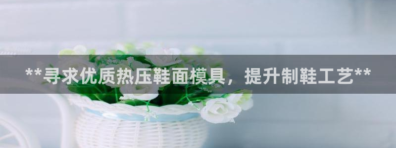 易倍单词登录平台：**寻求优质热压鞋面模具，提升制鞋工艺