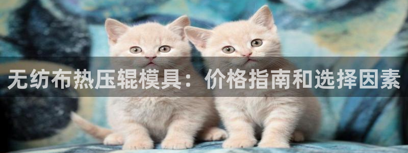 emc服务器是什么：无纺布热压辊模具：价格指南和选择因素