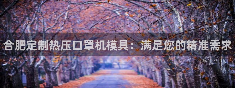 易倍申竞品：合肥定制热压口罩机模具：满足您的精准需求