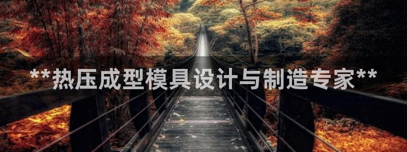 Emc易赔体育：**热压成型模具设计与制造专家**