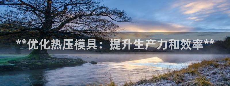 EMC易倍让身份验证：**优化热压模具：提升生产力和效率