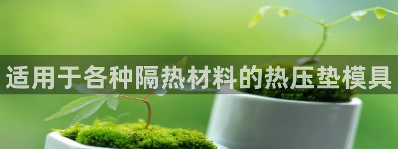 易倍单词软件：适用于各种隔热材料的热压垫模具