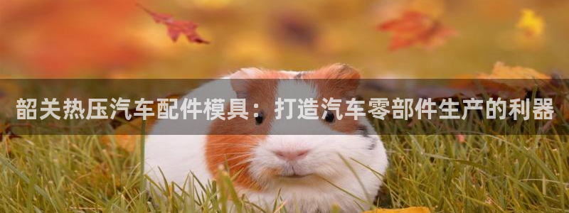 易倍英语官方网站登录