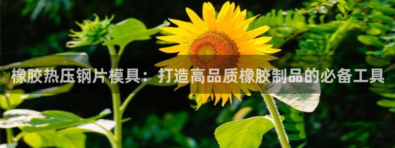 易倍申片的副作用：橡胶热压钢片模具：打造高品质橡胶制品的