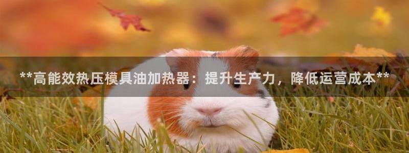 易倍思机电制造(上海)有限公司：**高能效热压模具油加热
