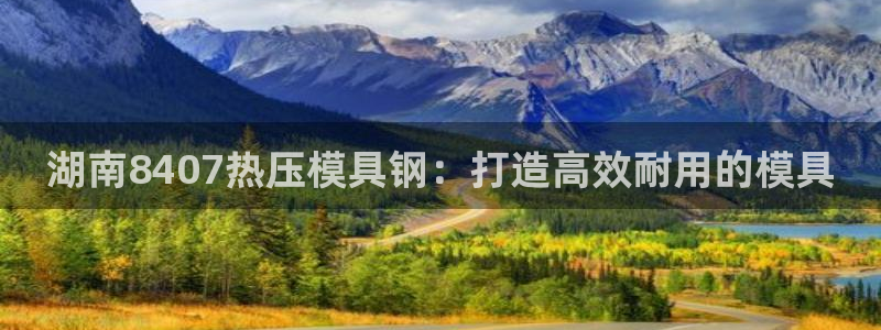 北京易倍思教育怎么样：湖南8407热压模具钢：打造高效耐